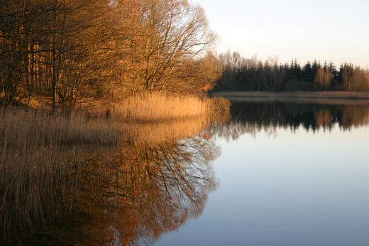 Fenster schliessen